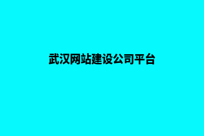 武汉微网站建设多少钱(武汉网站建设公司平台)