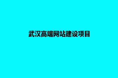 武汉高端网站建设报价(武汉高端网站建设项目)