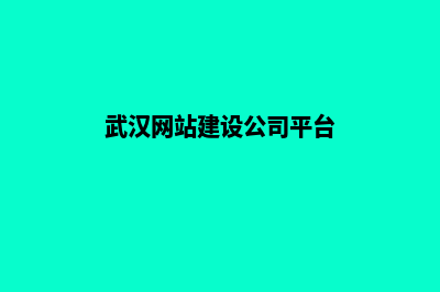 武汉网站建设价格(武汉网站建设公司平台)