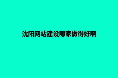 沈阳专业网站制作报价(沈阳网站建设哪家做得好啊)