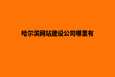 哈尔滨网站建设公司哪里有