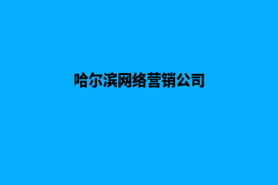 哈尔滨营销网站建设价格(哈尔滨网络营销公司)