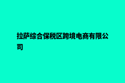 拉萨外贸网站建设收费(拉萨综合保税区跨境电商有限公司)