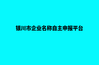 银川企业建设网站哪家好(银川市企业名称自主申报平台)