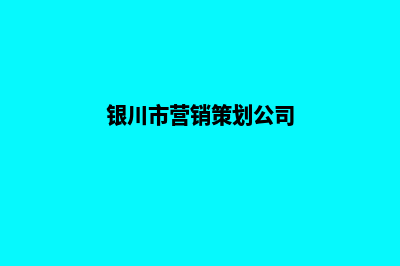 银川营销型网站建设价格(银川市营销策划公司)