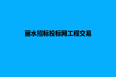 丽水网站建设报价方案(丽水招标投标网工程交易)