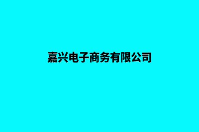 嘉兴电商网站开发费用(嘉兴电子商务有限公司)