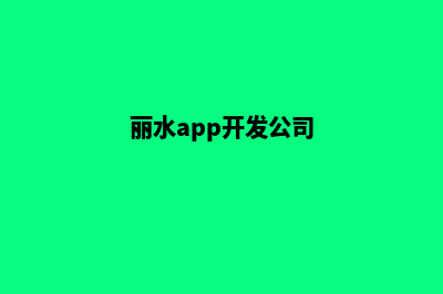 丽水网站开发公司(丽水app开发公司)