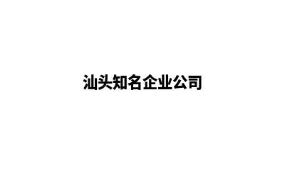 汕头哪家公司制作网站(汕头知名企业公司)