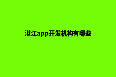 湛江app开发机构(湛江app开发机构有哪些)