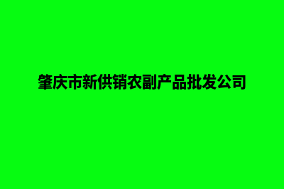 肇庆新零售app定制(肇庆市新供销农副产品批发公司)