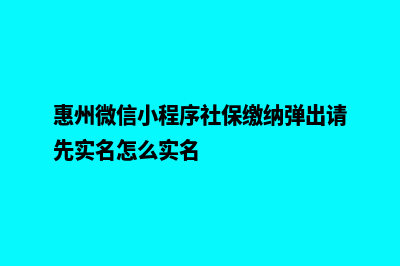 惠州微信小程序开发(惠州微信小程序社保缴纳弹出请先实名怎么实名)