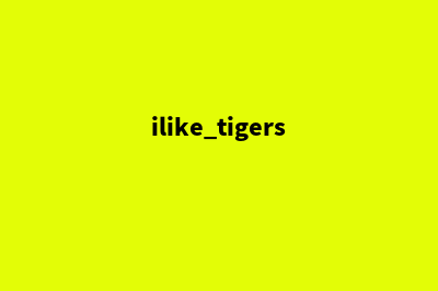 泉州专业小程序开发(ilike tigers)