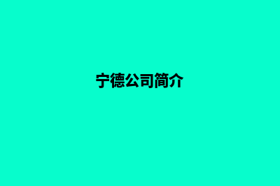 宁德公司网页重做(宁德公司简介)