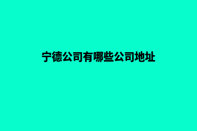 宁德公司网站开发费用(宁德公司有哪些公司地址)