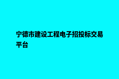 宁德建网站平台(宁德市建设工程电子招投标交易平台)