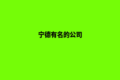 宁德哪家公司制作网站(宁德有名的公司)