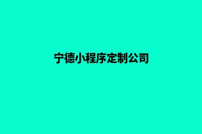 宁德小程序定制机构(宁德小程序定制公司)