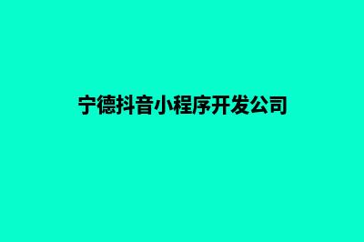 宁德小程序开发费用(宁德抖音小程序开发公司)