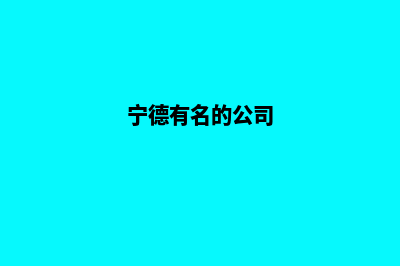 宁德做公司网站的价格(宁德有名的公司)