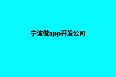 宁波app开发报价(宁波做app开发公司)