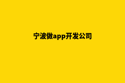 宁波哪有app开发(宁波做app开发公司)