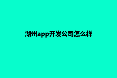 湖州app开发公司(湖州app开发公司怎么样)