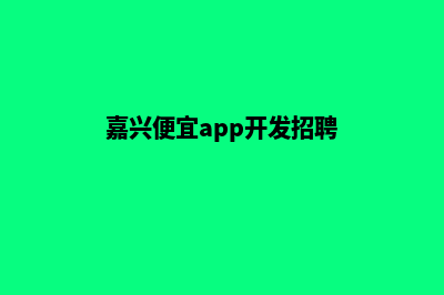 嘉兴便宜app开发(嘉兴便宜app开发招聘)