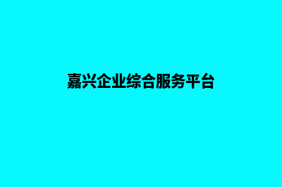 嘉兴公司网站重做(嘉兴企业综合服务平台)