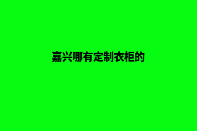 嘉兴哪有app定制(嘉兴哪有定制衣柜的)