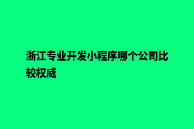 嘉兴小程序开发费用(浙江专业开发小程序哪个公司比较权威)