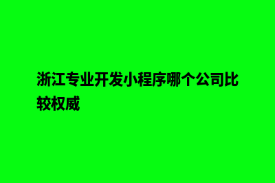 嘉兴小程序开发价格(浙江专业开发小程序哪个公司比较权威)