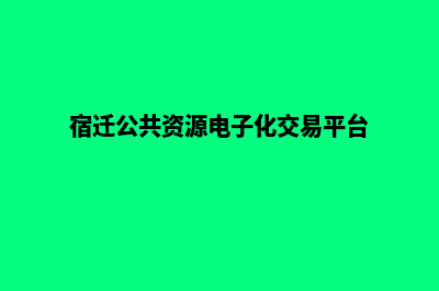 宿迁网站重做公司(宿迁公共资源电子化交易平台)