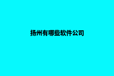 扬州app制作机构(扬州有哪些软件公司)