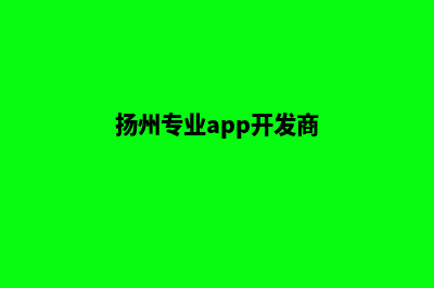 扬州专业app开发(扬州专业app开发商)