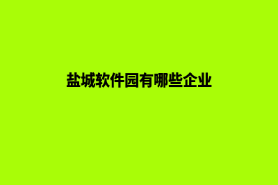 盐城app开发(盐城软件园有哪些企业)