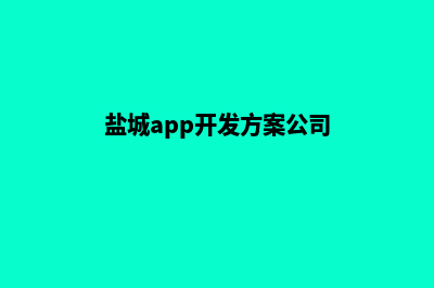 盐城app开发方案(盐城app开发方案公司)