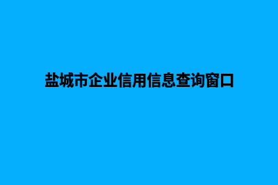 盐城企业网站设计价格(盐城市企业信用信息查询窗口)