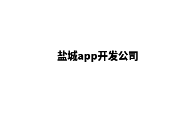 盐城小程序开发方案(盐城app开发公司)