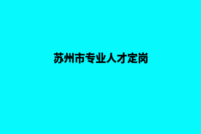 苏州专业网站定制多少钱(苏州市专业人才定岗)