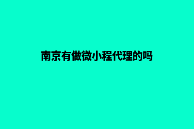 南京小程序定制价格(南京有做微小程代理的吗)