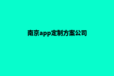 南京app定制方案(南京app定制方案公司)