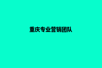 重庆营销型网站设计报价(重庆专业营销团队)