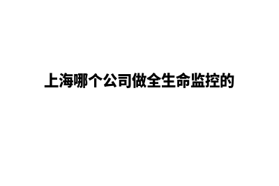 上海哪个公司做网页重做好(上海哪个公司做全生命监控的)