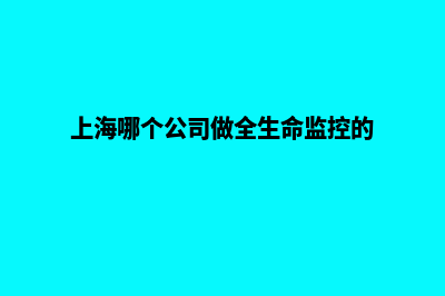 上海哪个公司做网站改版好(上海哪个公司做全生命监控的)