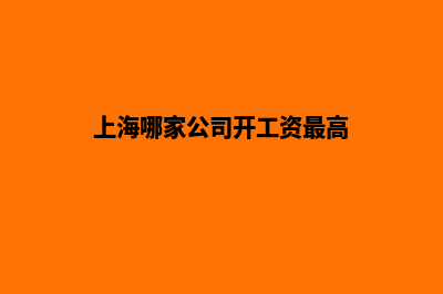 上海哪家公司开发网站(上海哪家公司开工资最高)