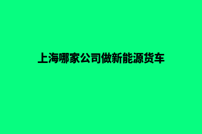 上海哪家公司做网站(上海哪家公司做新能源货车)