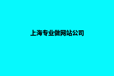 上海哪里有做网站的公司(上海专业做网站公司)