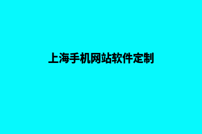 上海网站定制多少钱(上海手机网站软件定制)