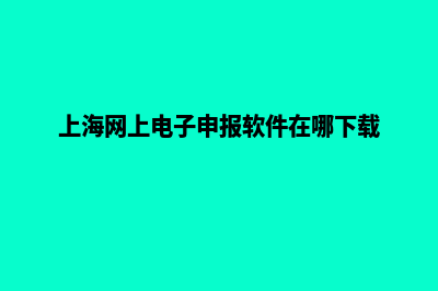 上海网站重做报价(上海网上电子申报软件在哪下载)